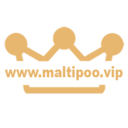 logo maltipoo