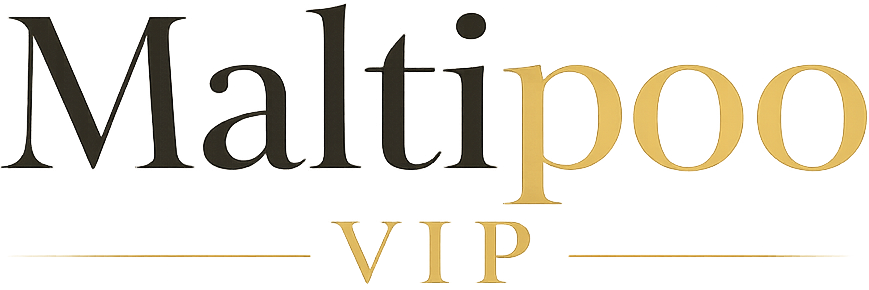 Питомник эксклюзивных щенков мальтипу MALTIPOO.VIP